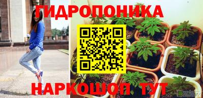 ECSTASY Будённовск