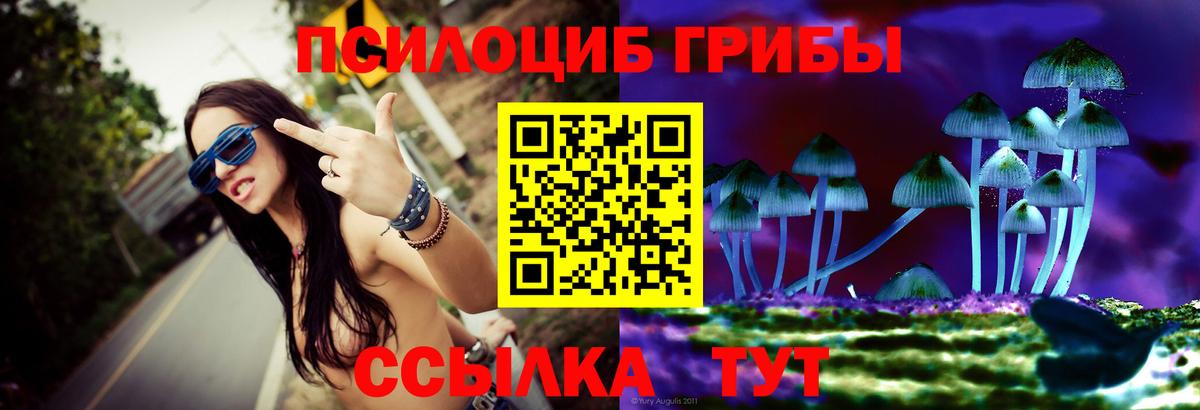 Мурманск  наркошоп  Вход с VPN  Галлюциногенные грибы Psilocybine cubensis 